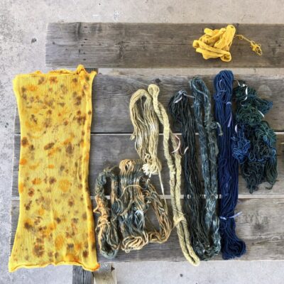 FACTS Natural Dye Weekend